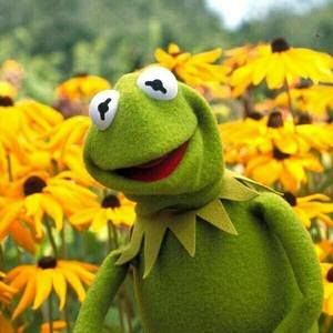 Meet your Posher, Marie